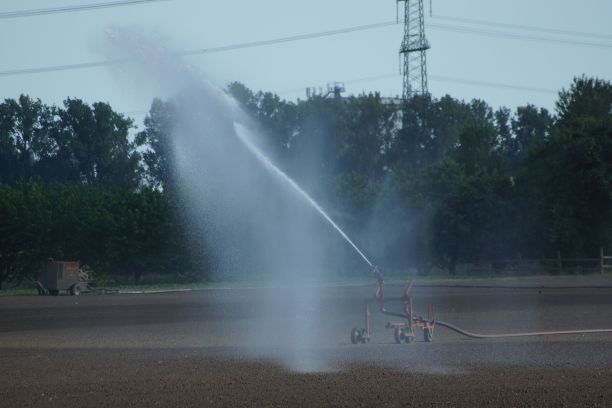 sprinkler