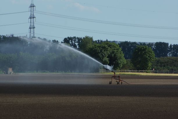 sprinkler