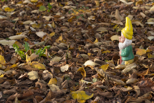 leprechaun
