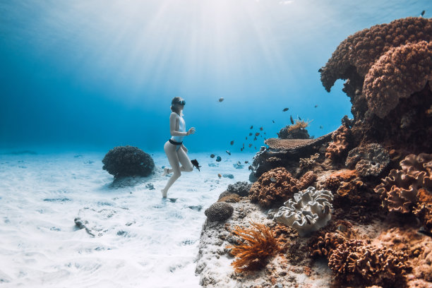 corals