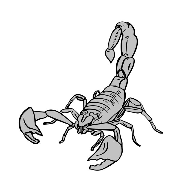 scorpio