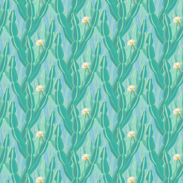 昙花插画