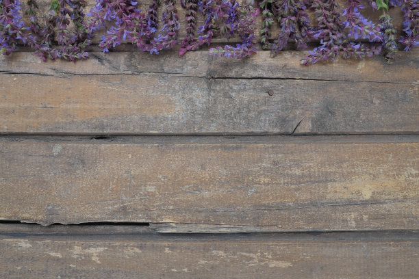 liatris