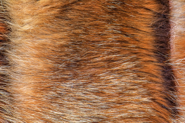 hairs