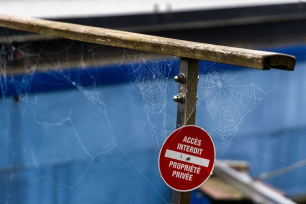 红web