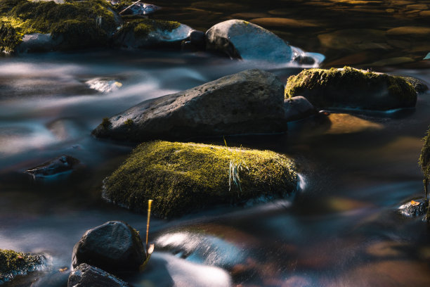 brook