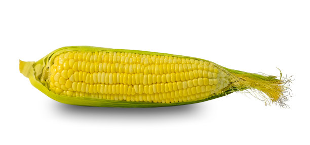 maize