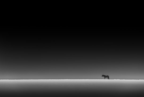 loneliness