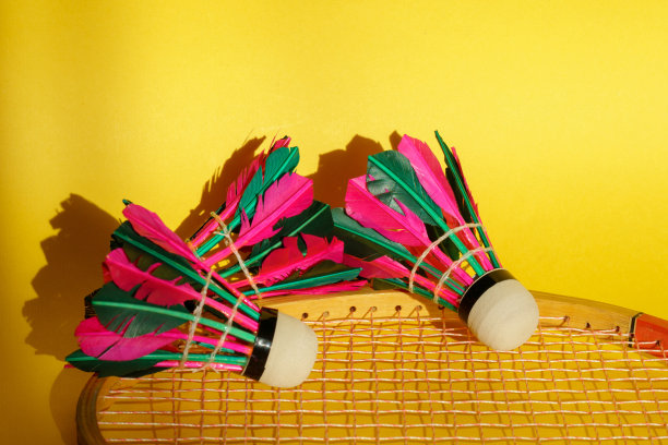 shuttlecock
