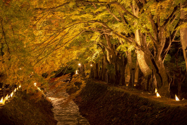 灯光隧道浪漫灯光