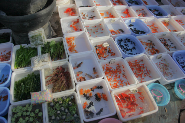 vendor