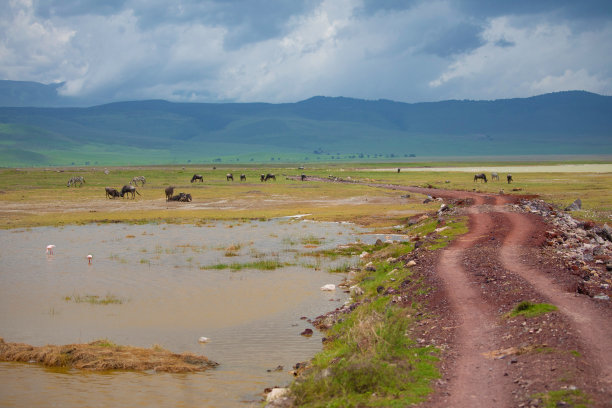 tanzania