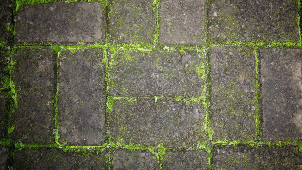 清新绿色方块背景图案