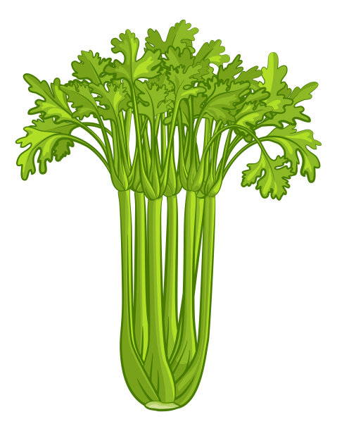 celery