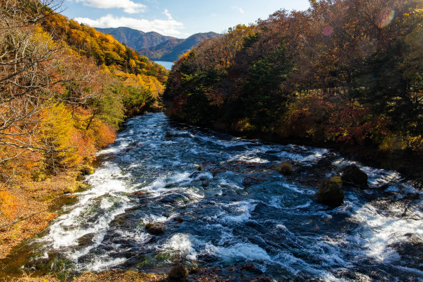 自然,视角,秋天