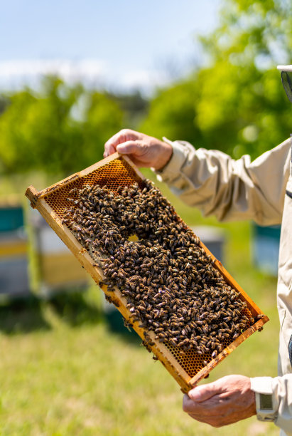 beekeeper