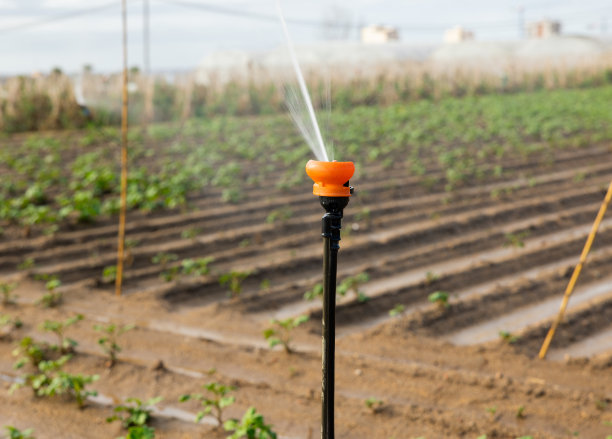 irrigation