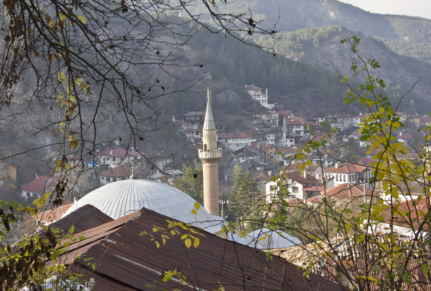 bolu