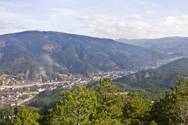 bolu