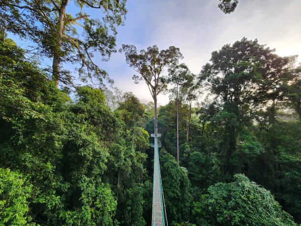 skywalk