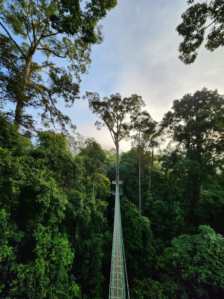 skywalk