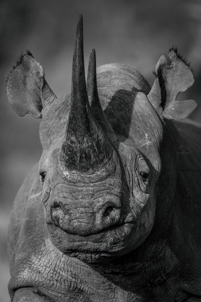 horned