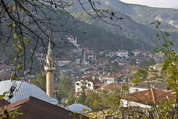 bolu