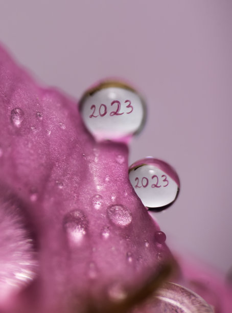 紫色新年背景板设计