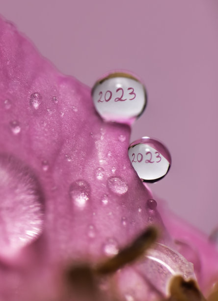 紫色新年背景板设计