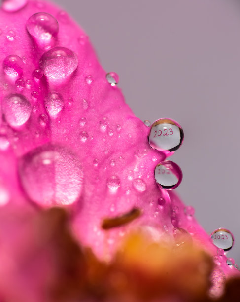 紫色新年背景板设计