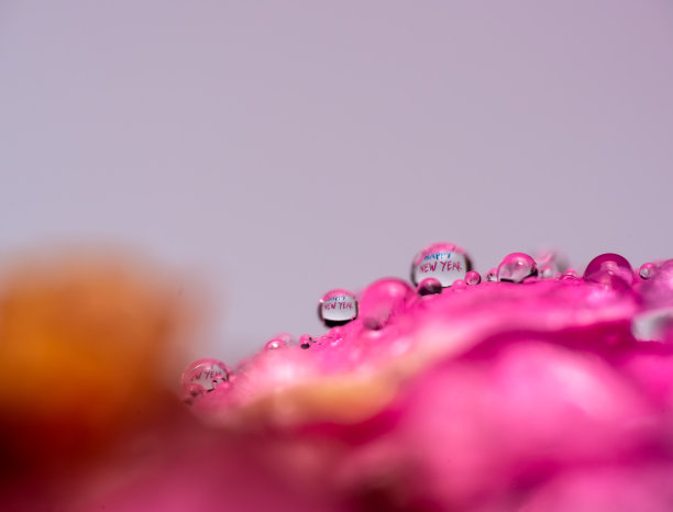 紫色新年背景板设计