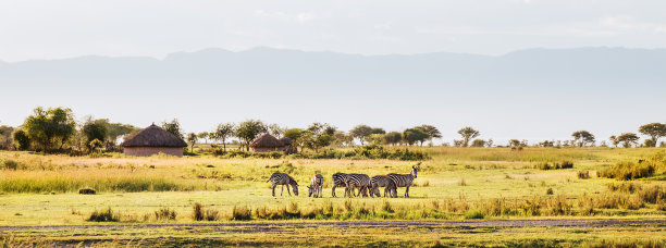 ngorongoro