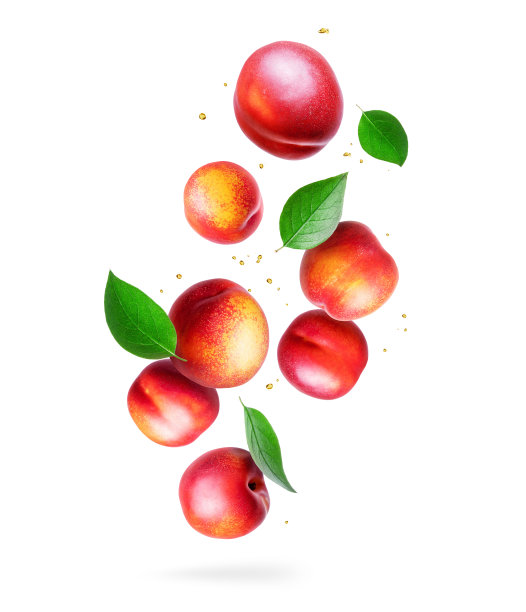 nectarines