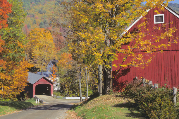 vt