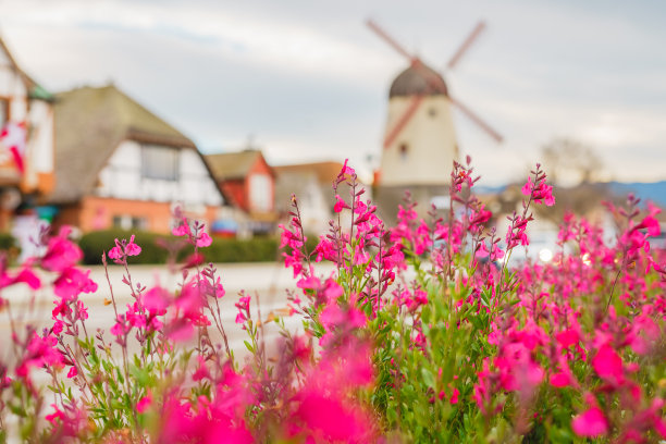 solvang