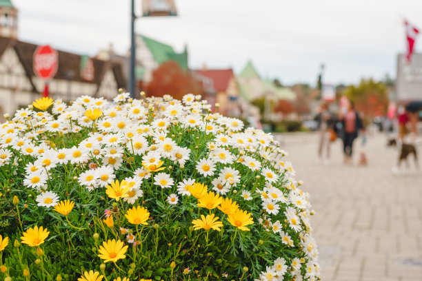 solvang