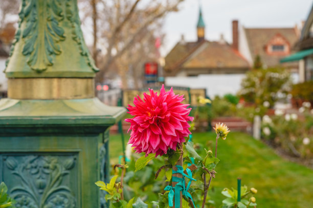 solvang