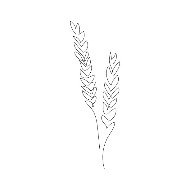 线条麦穗logo