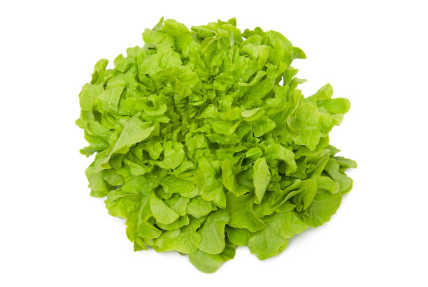 romaine