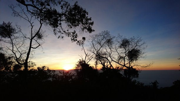 户外蓝天白云草地树林图片