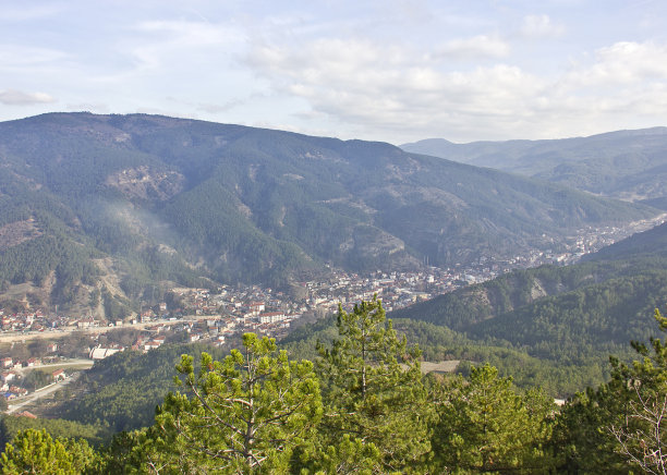 bolu