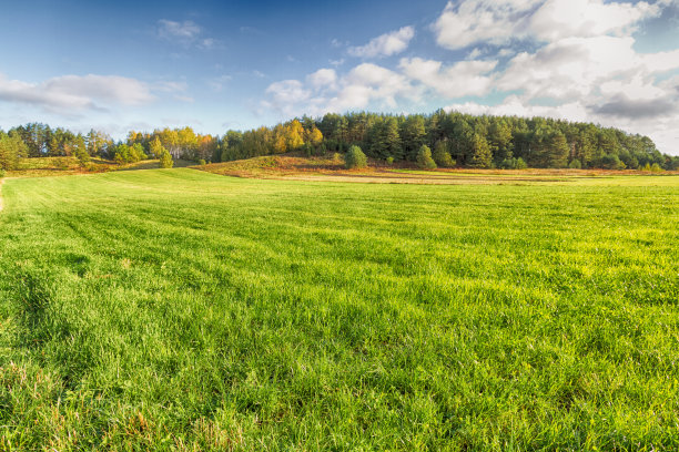 户外蓝天白云草地树林图片