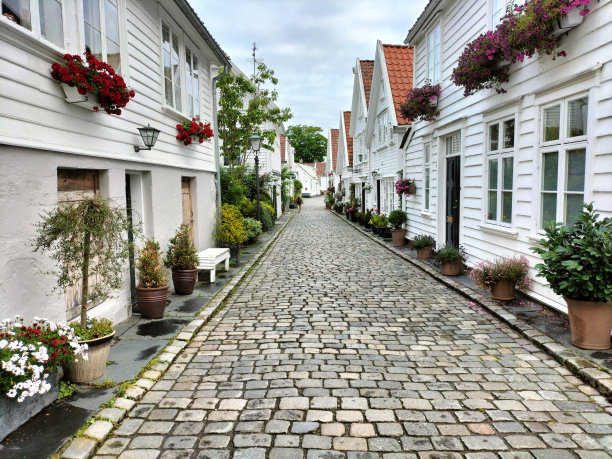 scandinavian