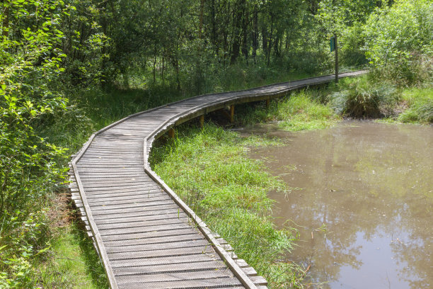 boardwalk