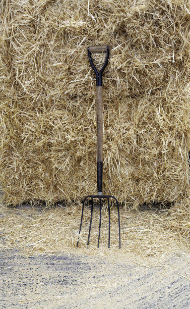 rake