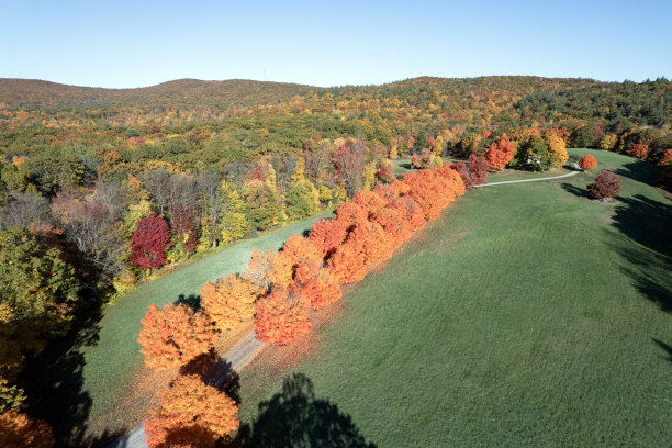 nh