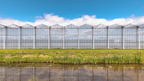 greenhouse