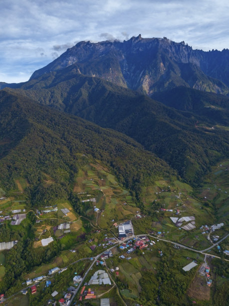 borneo
