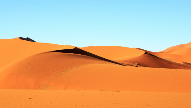 desert
