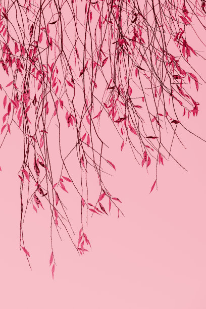 春节春分贴图